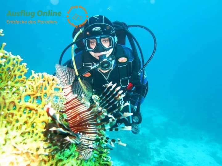 Sharm El Naga schnorcheln, tolle Unterwasserwelt