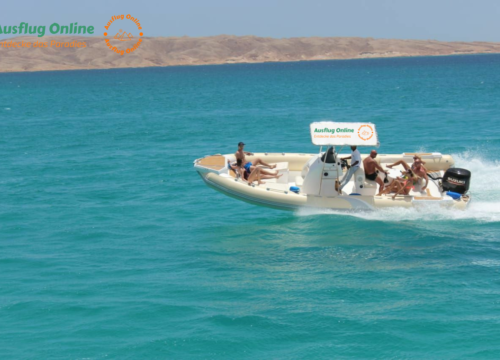 Delfinausflug mit privatem Schnellboot und Schnorcheln