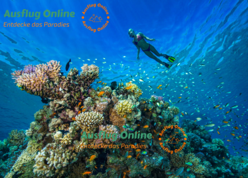 Die besten Hurghada Ausflüge