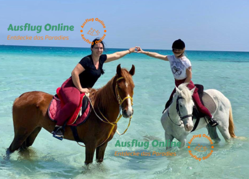 Pferdereiten in Hurghada 2 Stunden