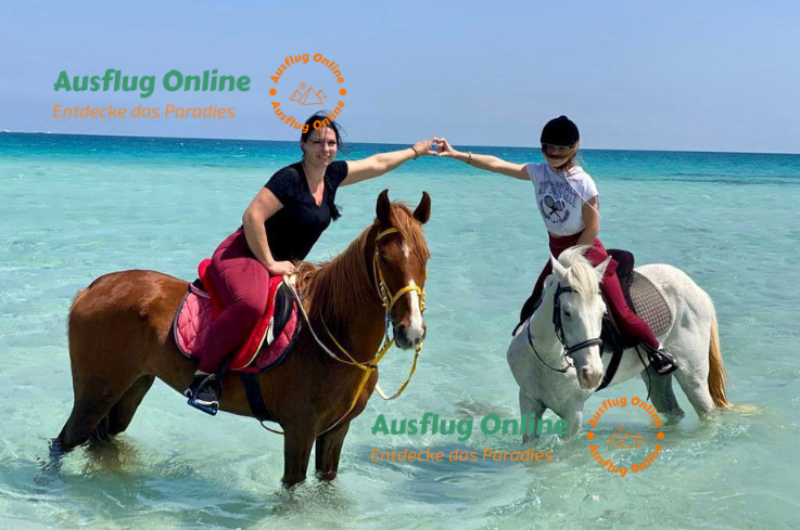 Pferdereiten in Hurghada 2 Stunden